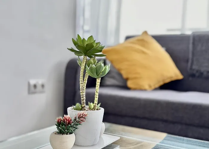 Tar11d - Estudio Con Vistas Al Mar, Wifi, Smart Tv, Fire Stick Amazon, En El Centro, A 600 Metros Playa *