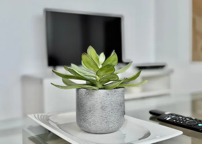 Apartamento Tar11d - Estudio Con Vistas Al Mar, Wifi, Smart Tv, Fire Stick Amazon, En El Centro, A 600 Metros Playa