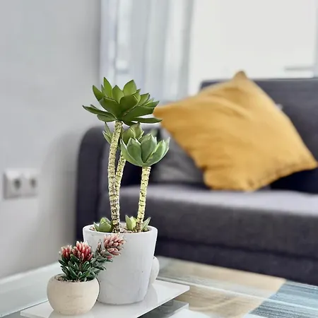 Tar11d - Estudio Con Vistas Al Mar, Wifi, Smart Tv, Fire Stick Amazon, En El Centro, A 600 Metros Playa *